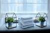 Отель MaNNa Boutique Hotel Киев-7